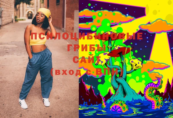 крисы Елабуга