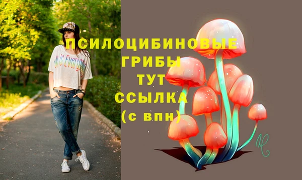 герыч Дмитров