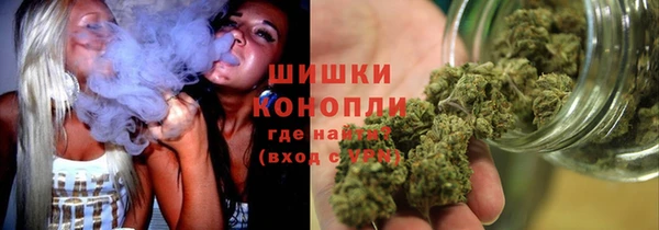 молекула духа Дмитровск