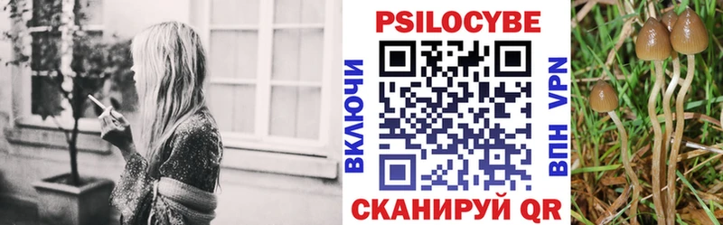 Псилоцибиновые грибы Psilocybine cubensis  Купить  Тырныауз 